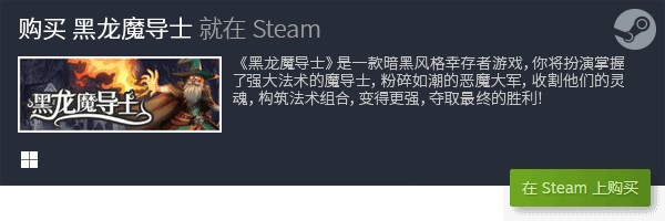 e类PC游戏评测合集 哪一款是你的菜AG真人游戏平台入口Roguelik(图13)